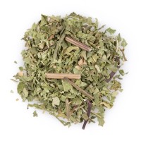 Verbena Mint Infusion